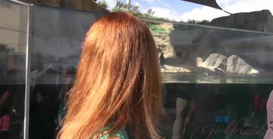 ATK Girlfriends - A Date at the Aquarium with a Hot Red Head
